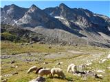 Pfitscher Tal / Val di Vizze - Hochfeilerhütte